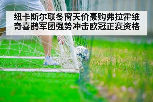 纽卡斯尔联冬窗天价豪购弗拉霍维奇喜鹊军团强势冲击欧冠正赛资格