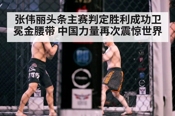 MMA cage fight