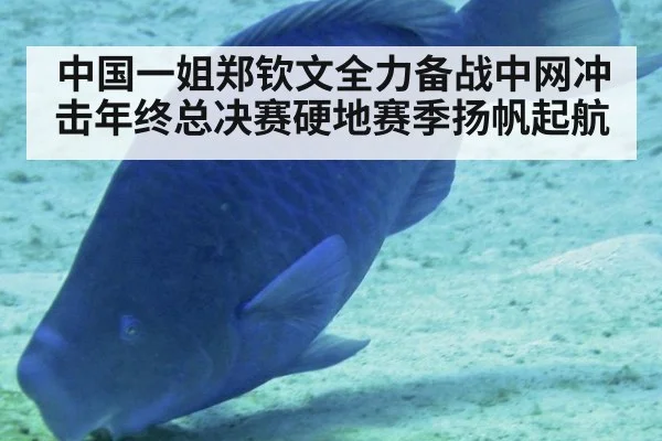 中国一姐郑钦文全力备战中网冲击年终总决赛硬地赛季扬帆起航